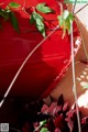 Ayaka Tomoda 友田彩也香, 週刊ポストデジタル写真集 「花園」 P10 No.fb2c00